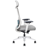 Maxxworth chair dealer