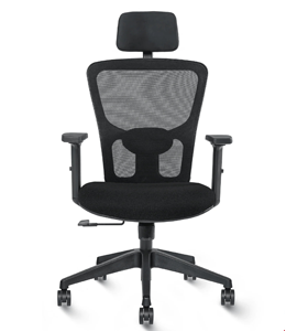 Maxxworth Jazz High and Mid Back Chair in Gurugram