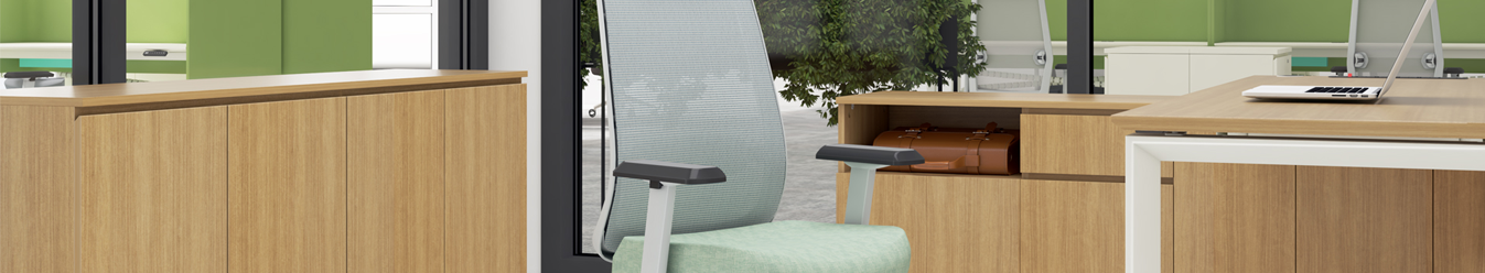 Branded ergonomic office chair supplier in Gurugram